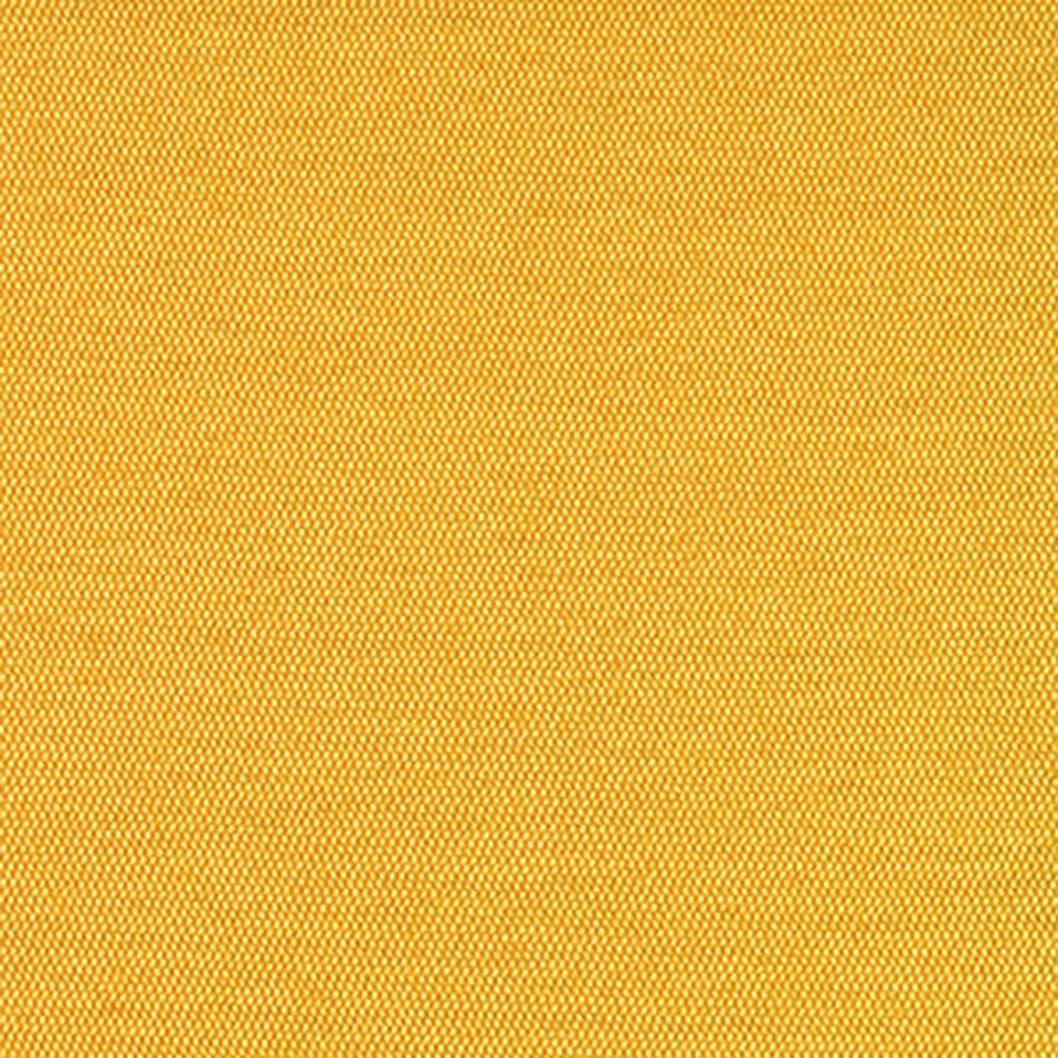 Maize