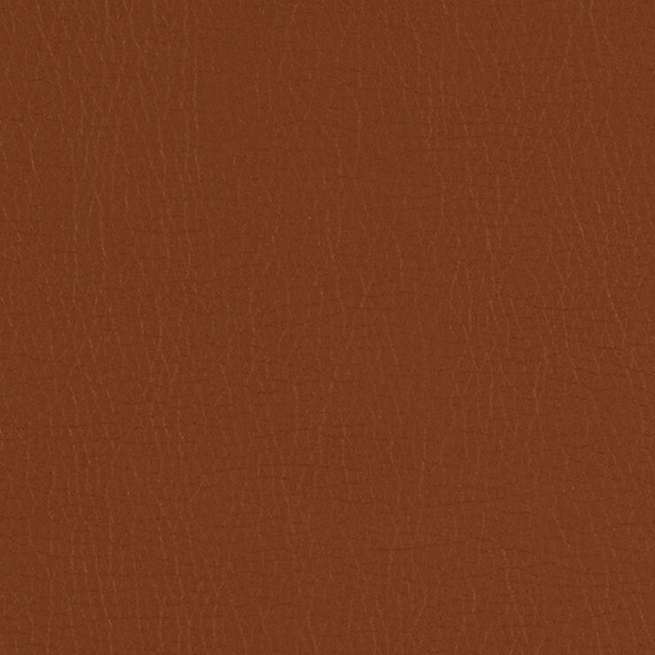 Canter Chestnut