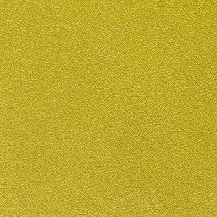 Canter Kiwi Green