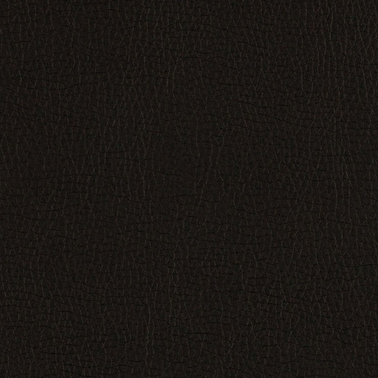 Canter Onyx